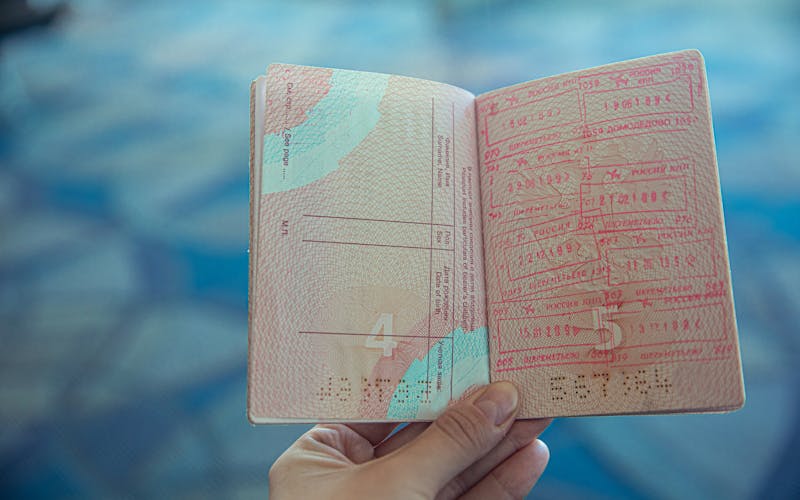 E-Visas